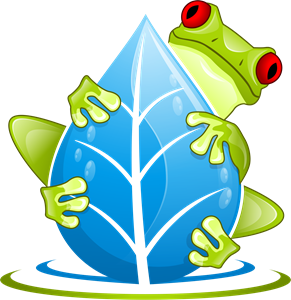 Swamp School Online